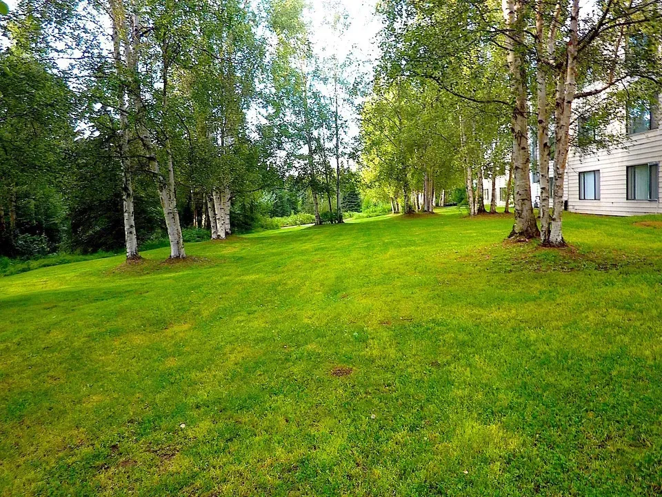 1 Bed 1 Bath Contemporary High-Rise Condo in Anchorage, AK - 4