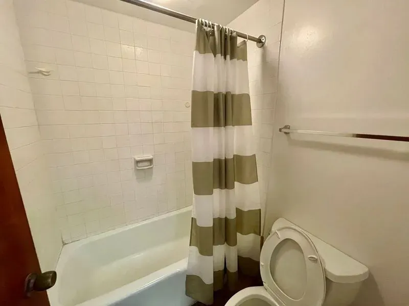 1 Bed 1 Bath Contemporary High-Rise Condo in Honolulu, HI - 4