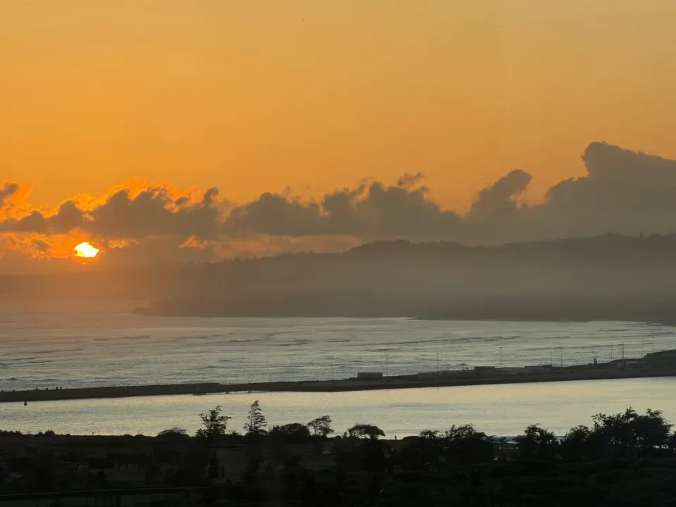 1 Bed 1 Bath Contemporary High-Rise Condo in Maui, HI