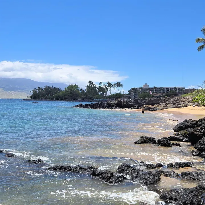 1 Bed 1 Bath Contemporary High-Rise Condo in Maui, HI - 2