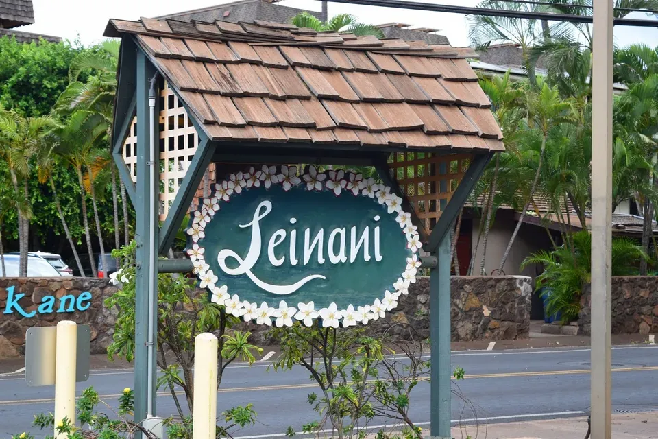 1 Bed 1 Bath Contemporary High-Rise Condo in Maui, HI