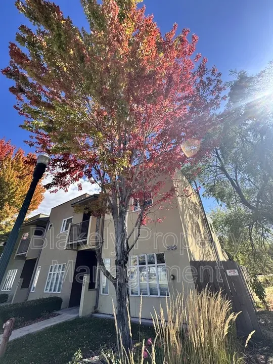 1 Bed 1 Bath Modern Contemporary Residence in Boise, ID
