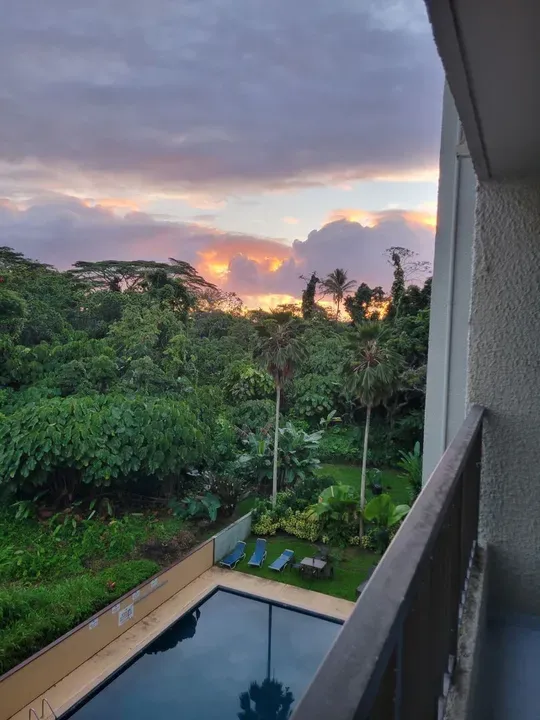 1 Bed 1 Bath Modern Contemporary Residence in Hilo, HI