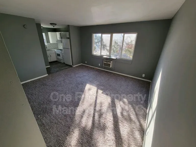 1 Bed 1 Bath Modern Contemporary Residence in Kansas City, KS - 4