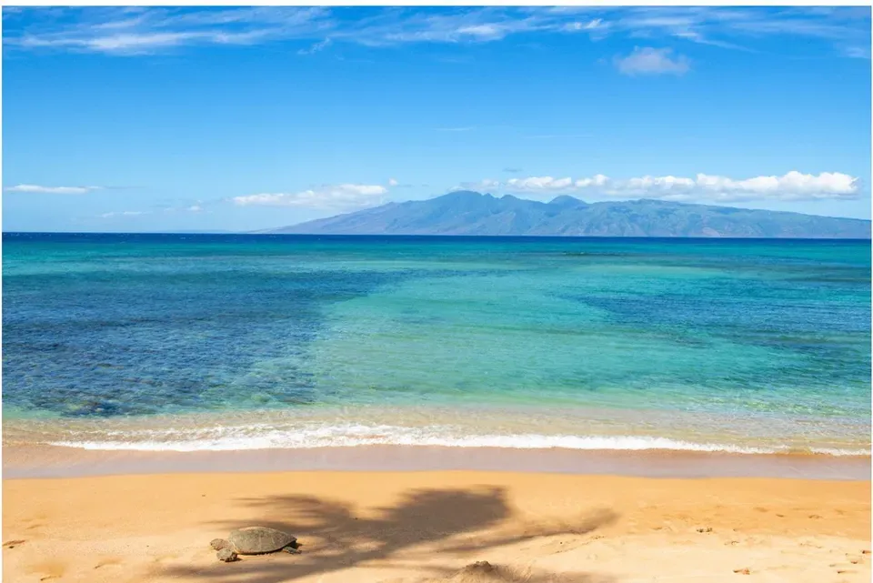 1 Bed 1 Bath Modern Contemporary Residence in Maui, HI