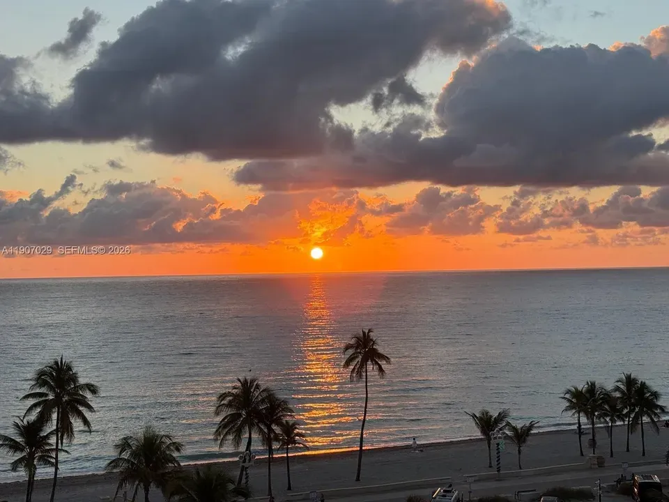 1 Bed 1 Bath Urban Residential Condo in Hollywood, FL - 4