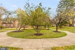 1 Bed 1 Bath Urban Residential Condo in Washington, DC - 5