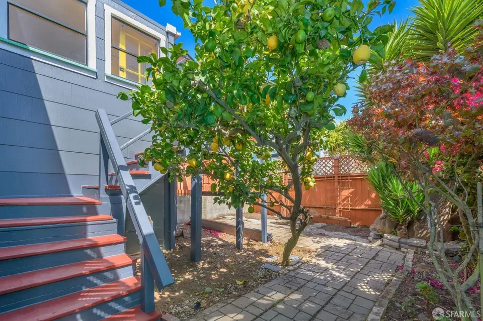 2 Bed 1 Bath Classic Historic Era Home in San Francisco, CA - 3