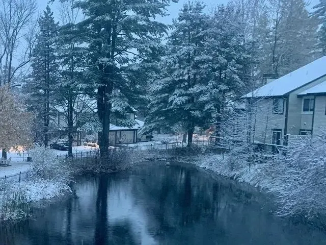 2 Bed 1 Bath Established Multi-Level Townhouse in Burlington, VT - 5
