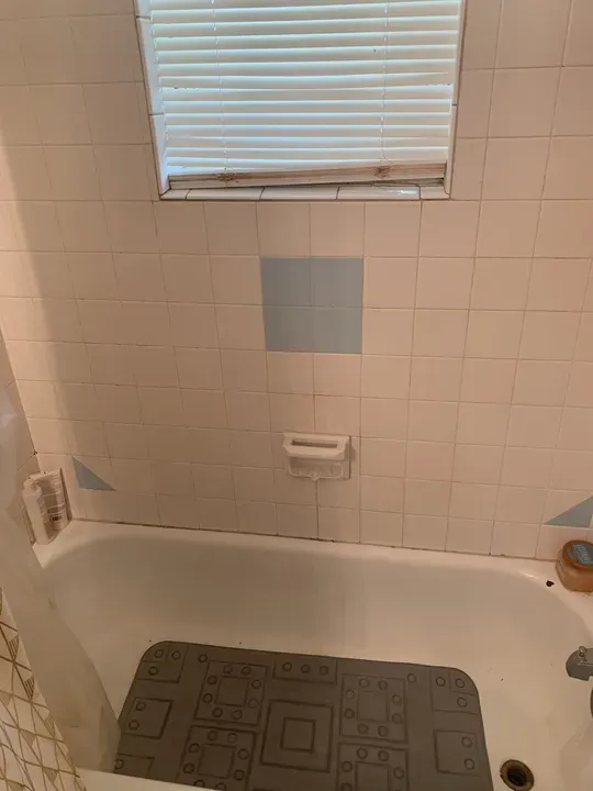 2 Bed 1 Bath Modern Contemporary Residence in Chesapeake, VA - 5