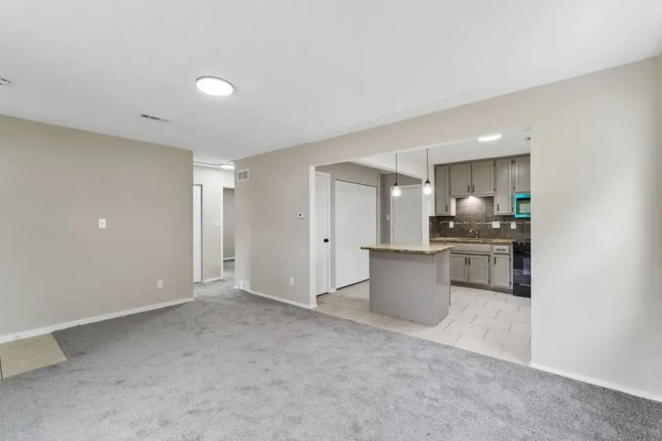 2 Bed 1 Bath Modern Contemporary Residence in Kansas City, KS - 4