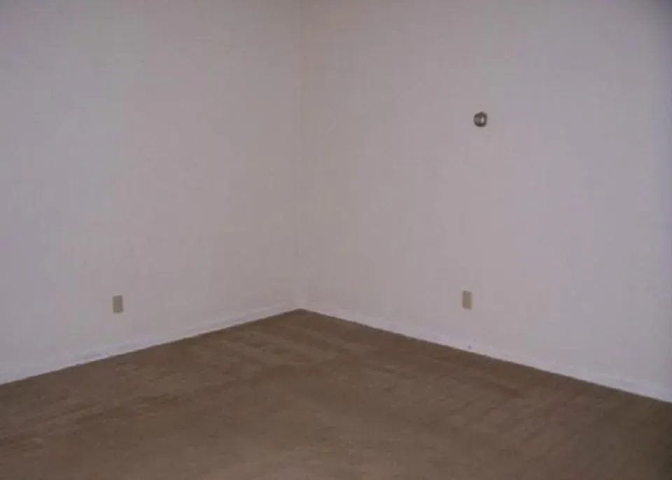 2 Bed 1 Bath Modern Contemporary Residence in Virginia Beach, VA - 4