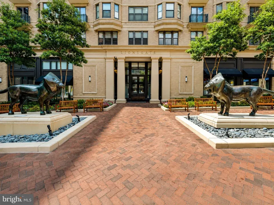 2 Bed 2 Bath Contemporary High-Rise Condo in Bethesda, MD - 2
