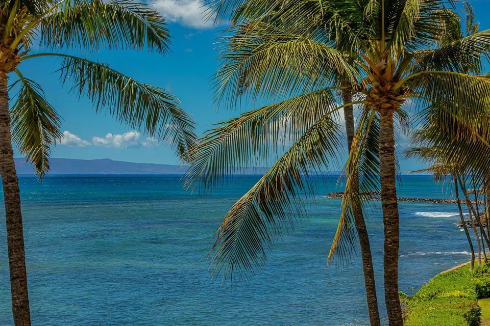 2 Bed 2 Bath Contemporary High-Rise Condo in Maui, HI - 4