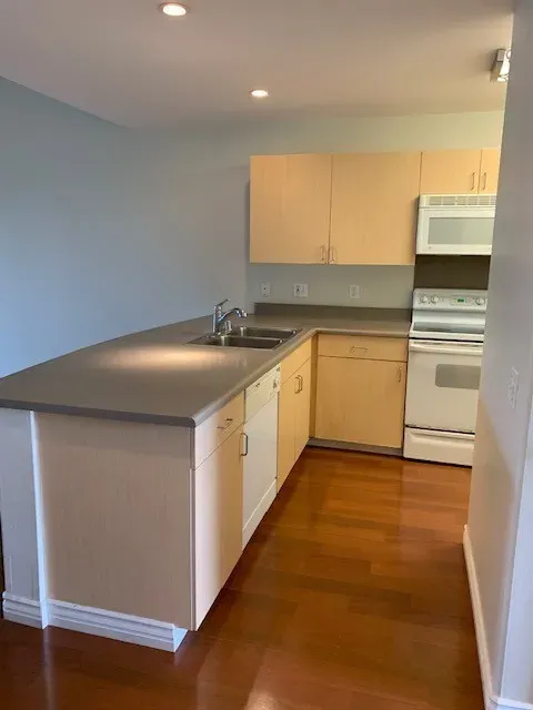 2 Bed 2 Bath Contemporary High-Rise Condo in Maui, HI - 5