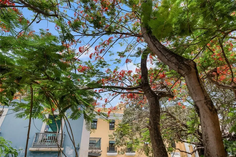 2 Bed 2 Bath Contemporary High-Rise Condo in San Juan, PR - 1