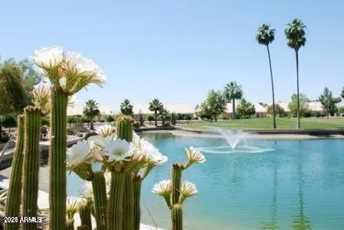 2 Bed 2 Bath Established Mid-Century Residence in Mesa, AZ - 5