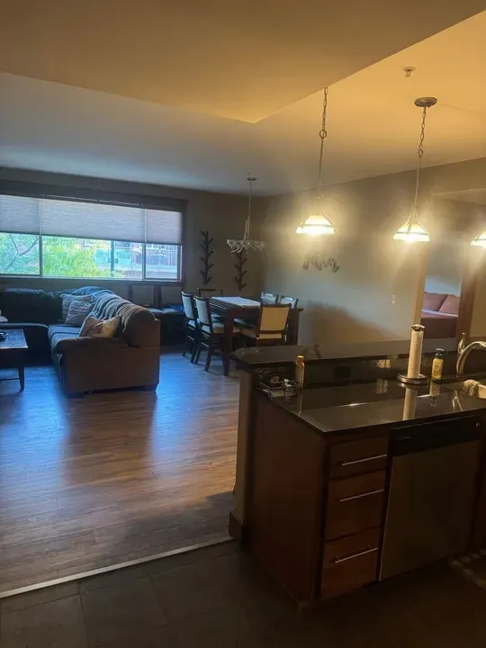 2 Bed 2 Bath Modern Contemporary Residence in Coeur d Alene, ID - 5
