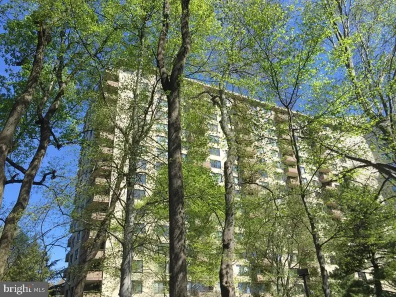 2 Bed 2 Bath Urban Residential Condo in Bethesda, MD - 2