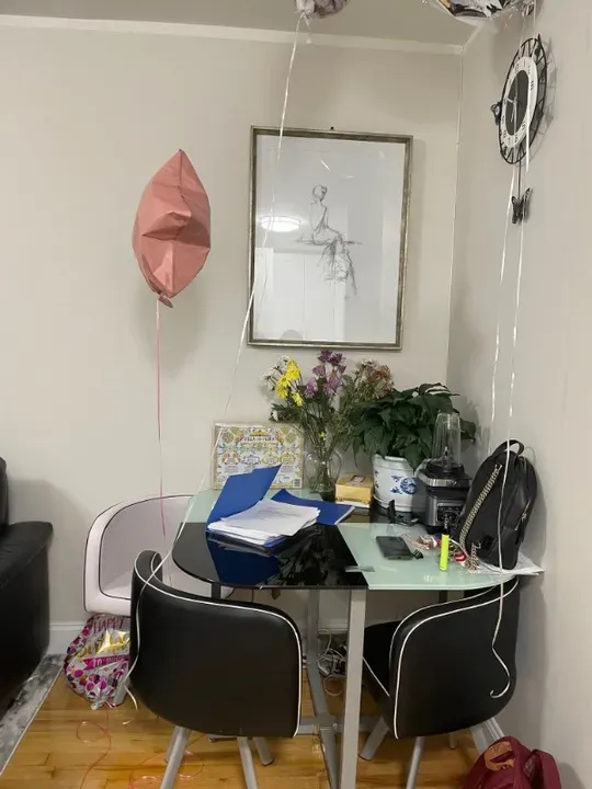 3 Bed 1 Bath Contemporary High-Rise Condo in Brooklyn, NY - 3