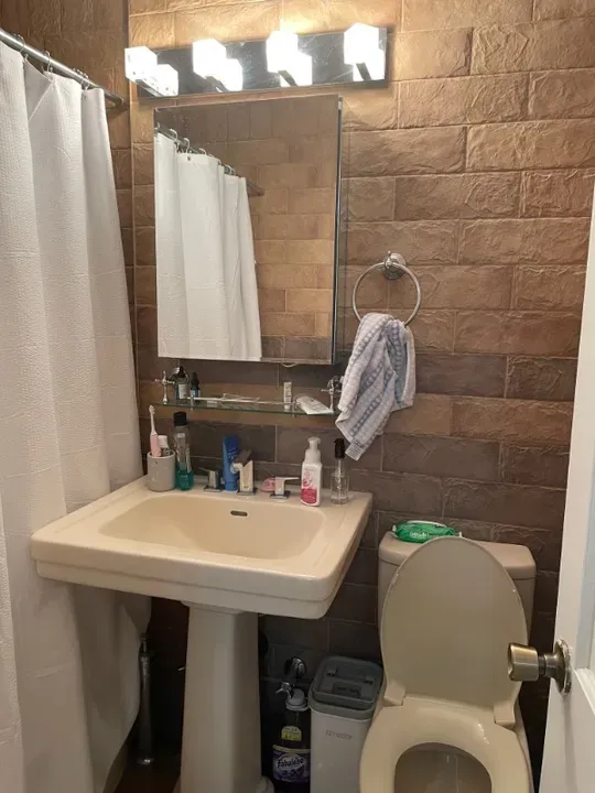 3 Bed 1 Bath Contemporary High-Rise Condo in Brooklyn, NY - 5