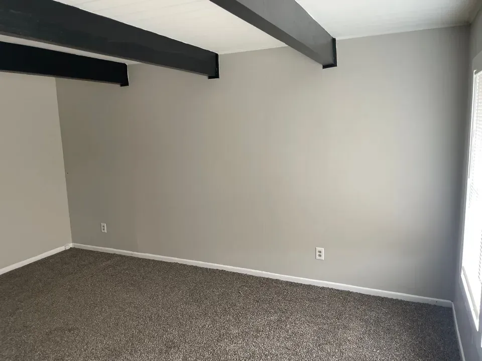 3 Bed 1 Bath Modern Contemporary Residence in Kansas City, KS - 5