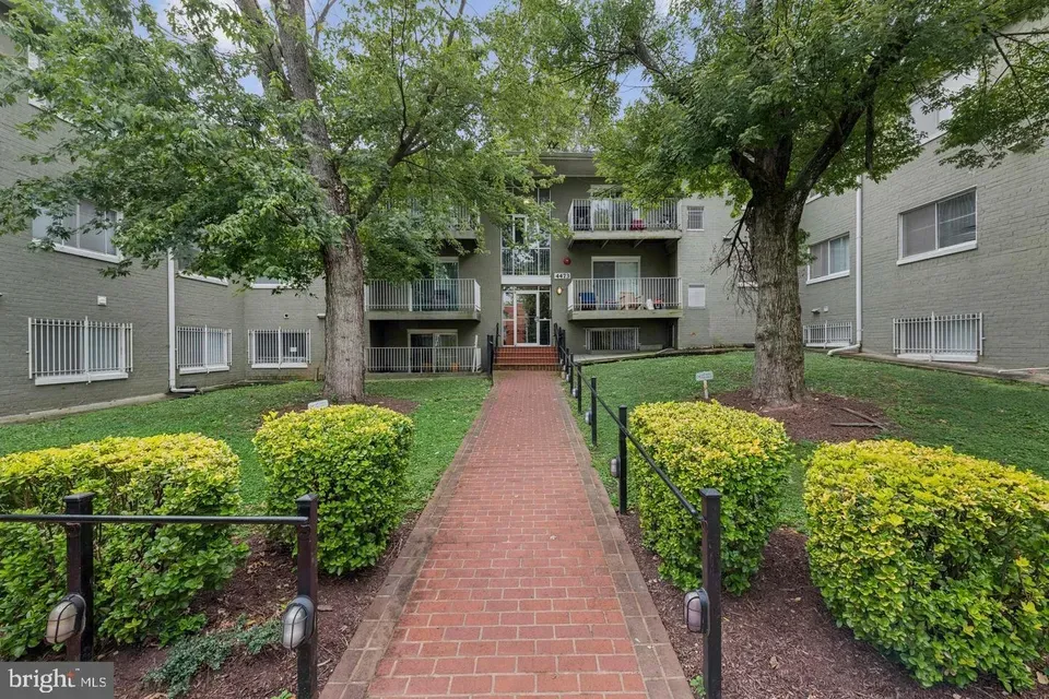 3 Bed 1 Bath Urban Residential Condo in Washington, DC