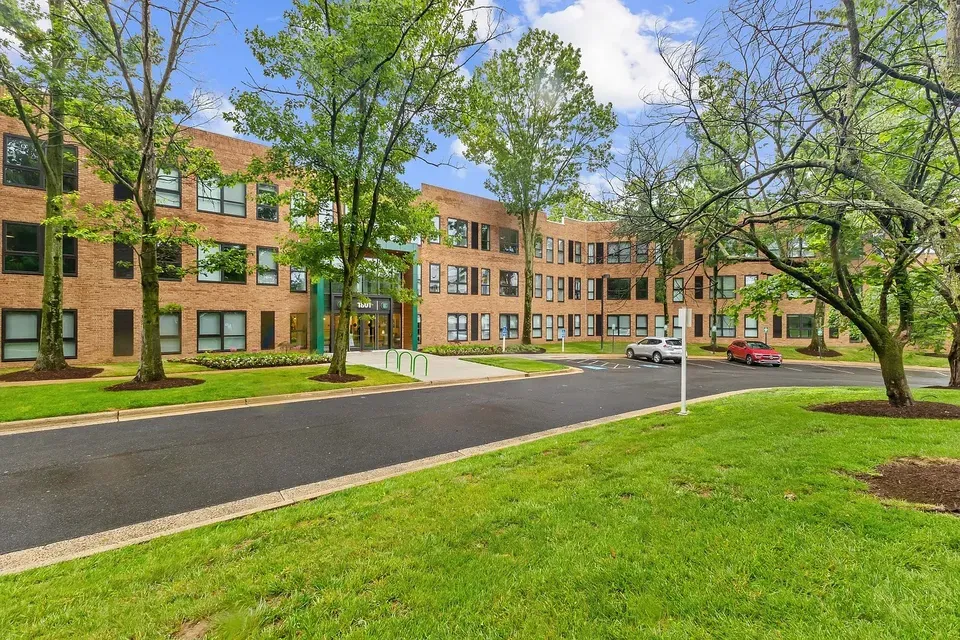 3 Bed 2 Bath Contemporary High-Rise Condo in Alexandria, VA - 2