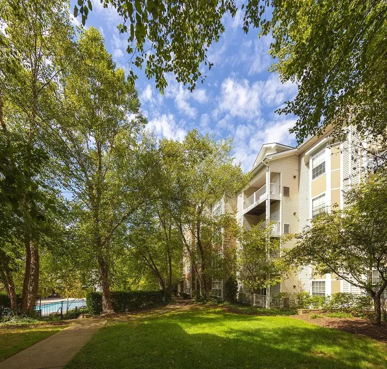 3 Bed 2 Bath Contemporary High-Rise Condo in Alexandria, VA - 3