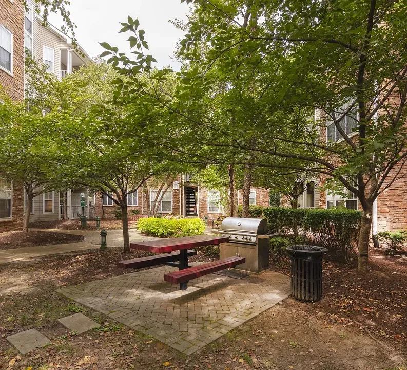 3 Bed 2 Bath Contemporary High-Rise Condo in Alexandria, VA - 5