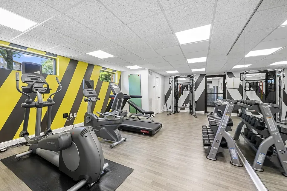 3 Bed 2 Bath Contemporary High-Rise Condo in Alexandria, VA - 5