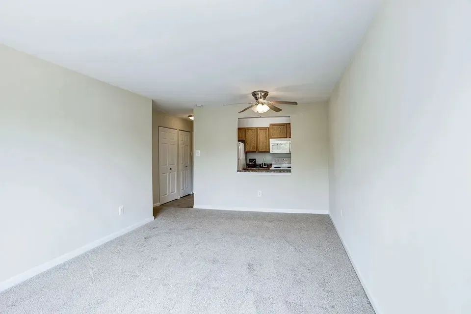 3 Bed 2 Bath Contemporary High-Rise Condo in Alexandria, VA - 4