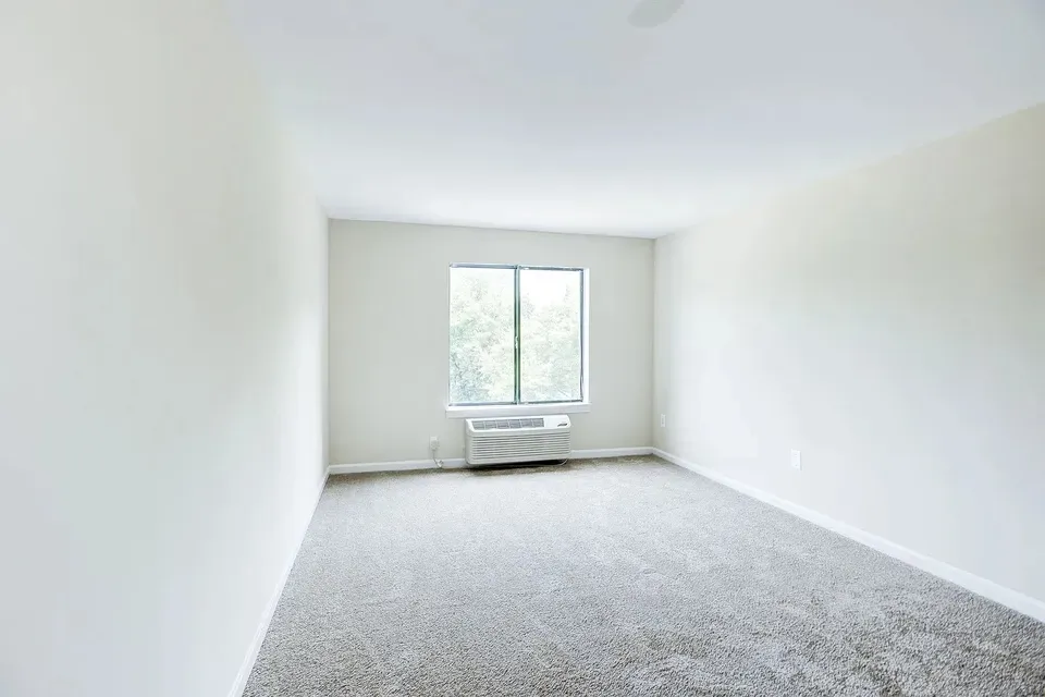 3 Bed 2 Bath Contemporary High-Rise Condo in Alexandria, VA - 5