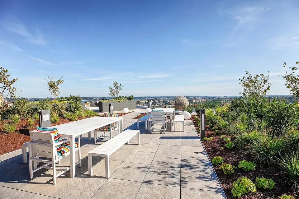 3 Bed 2 Bath Contemporary High-Rise Condo in Arlington, VA - 4