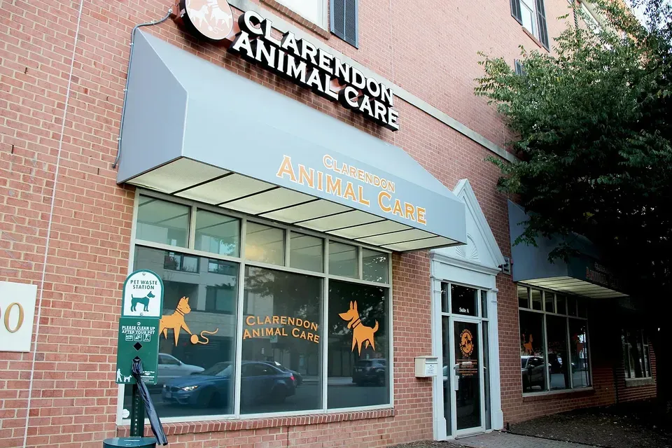 3 Bed 2 Bath Contemporary High-Rise Condo in Arlington, VA - 1