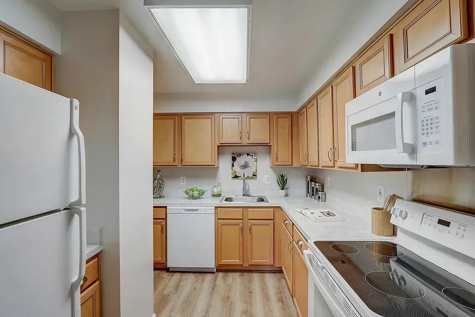 3 Bed 2 Bath Contemporary High-Rise Condo in Arlington, VA - 4