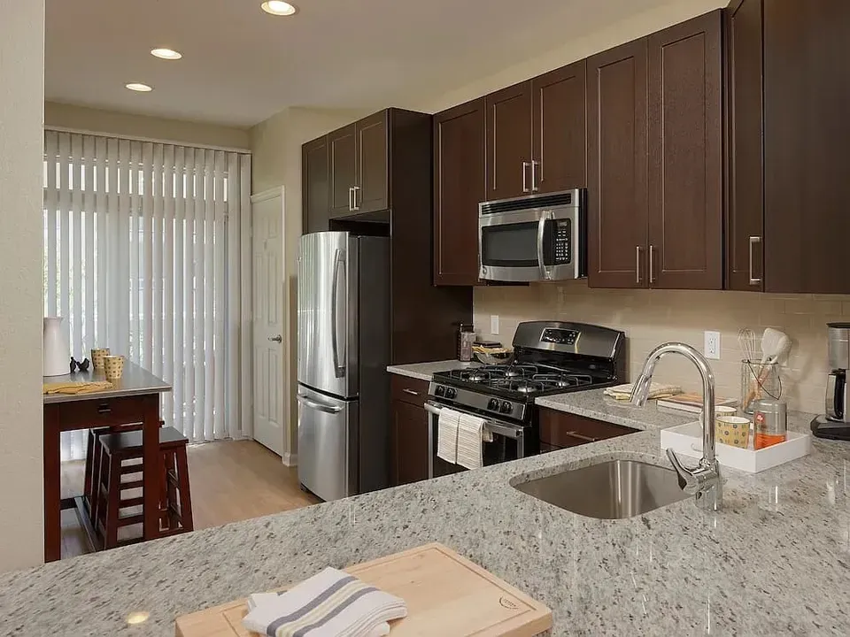 3 Bed 2 Bath Contemporary High-Rise Condo in Arlington, VA - 5