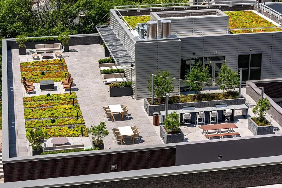3 Bed 2 Bath Contemporary High-Rise Condo in Arlington, VA - 3