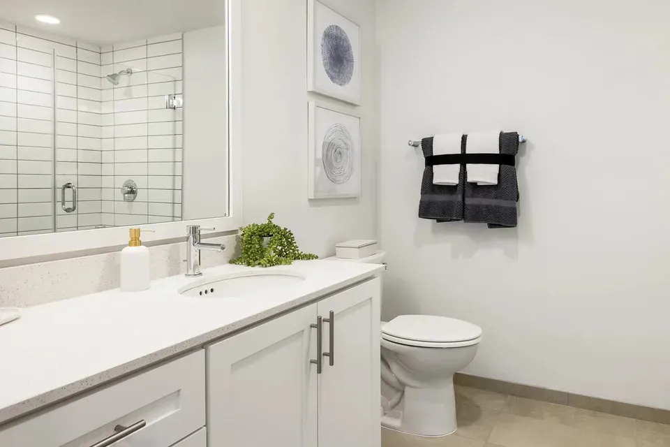 3 Bed 2 Bath Contemporary High-Rise Condo in Arlington, VA - 5
