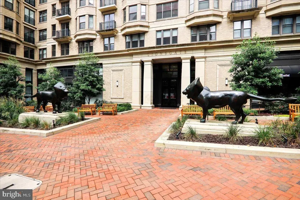 3 Bed 2 Bath Contemporary High-Rise Condo in Bethesda, MD - 3