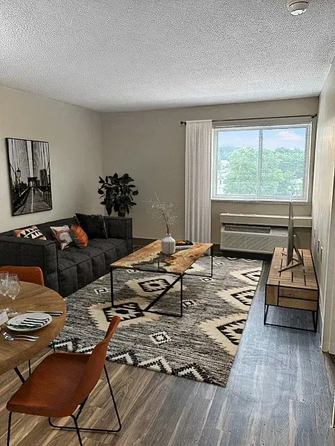 3 Bed 2 Bath Contemporary High-Rise Condo in Birmingham, AL - 4