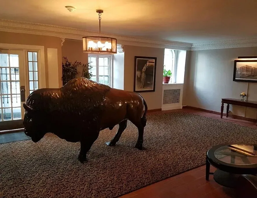 3 Bed 2 Bath Contemporary High-Rise Condo in Buffalo, NY - 4