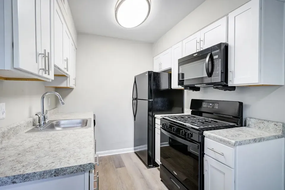 3 Bed 2 Bath Contemporary High-Rise Condo in Chesapeake, VA - 1