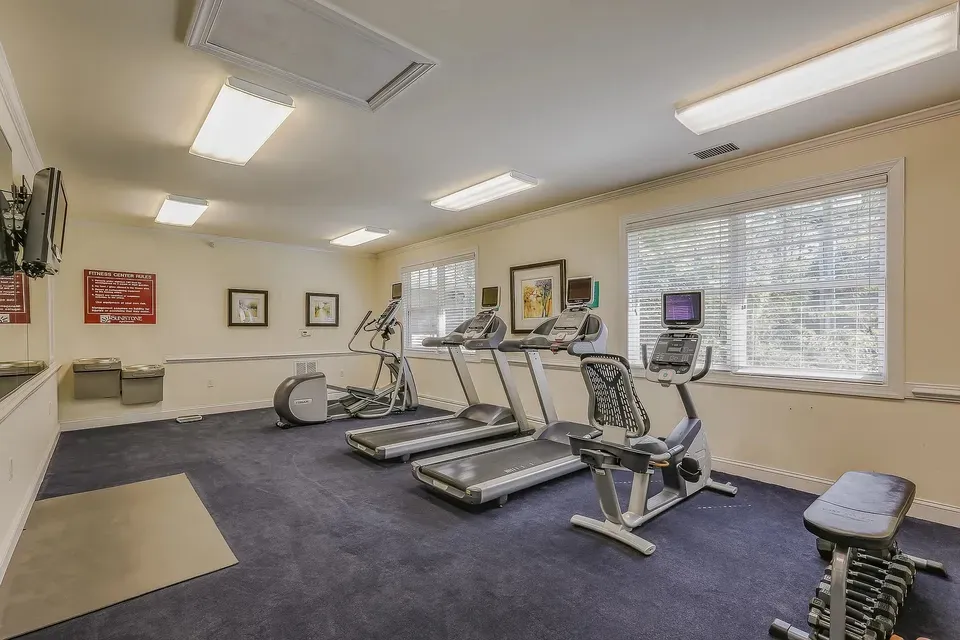 3 Bed 2 Bath Contemporary High-Rise Condo in Chesapeake, VA - 4