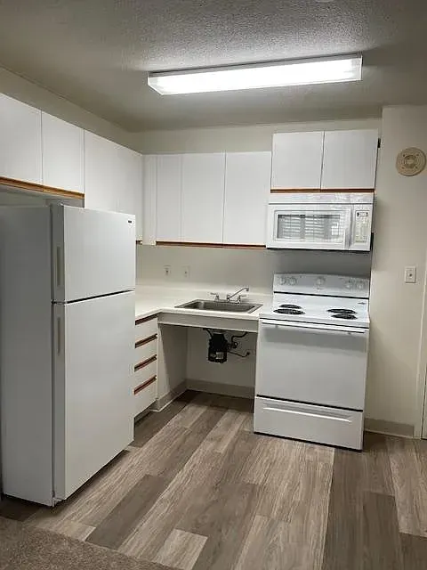 3 Bed 2 Bath Contemporary High-Rise Condo in Honolulu, HI - 4
