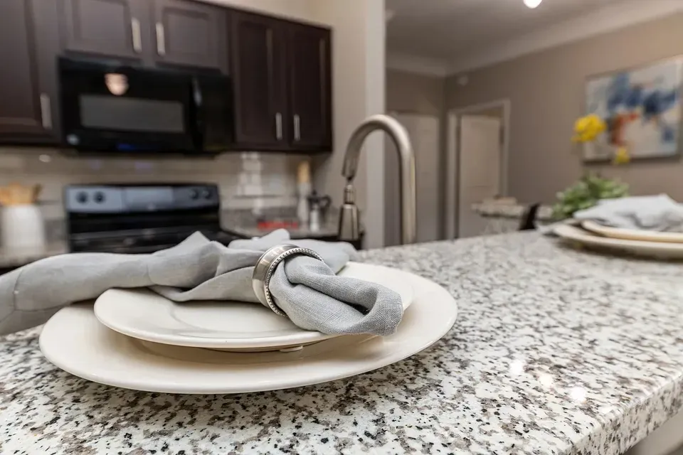 3 Bed 2 Bath Contemporary High-Rise Condo in Huntsville, AL - 4