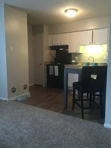 3 Bed 2 Bath Contemporary High-Rise Condo in Mobile, AL - 2