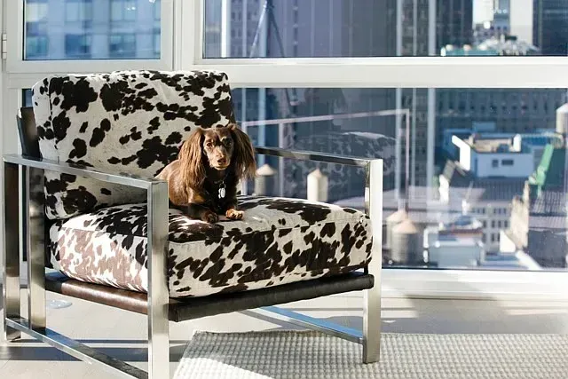 3 Bed 2 Bath Contemporary High-Rise Condo in New York, NY - 3