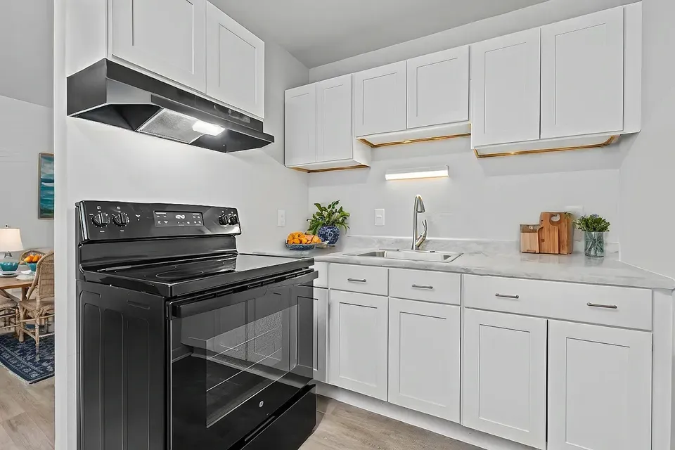 3 Bed 2 Bath Contemporary High-Rise Condo in Norfolk, VA - 3