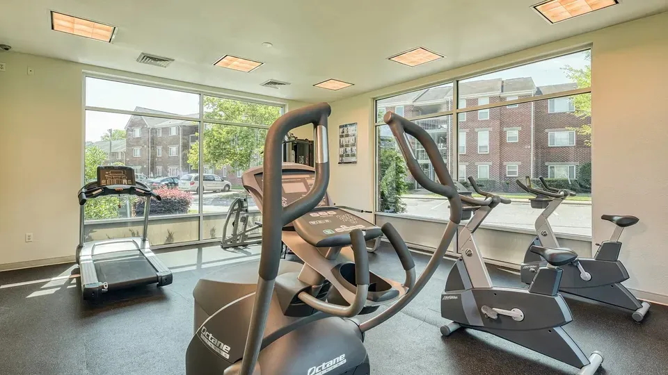 3 Bed 2 Bath Contemporary High-Rise Condo in Norfolk, VA - 4